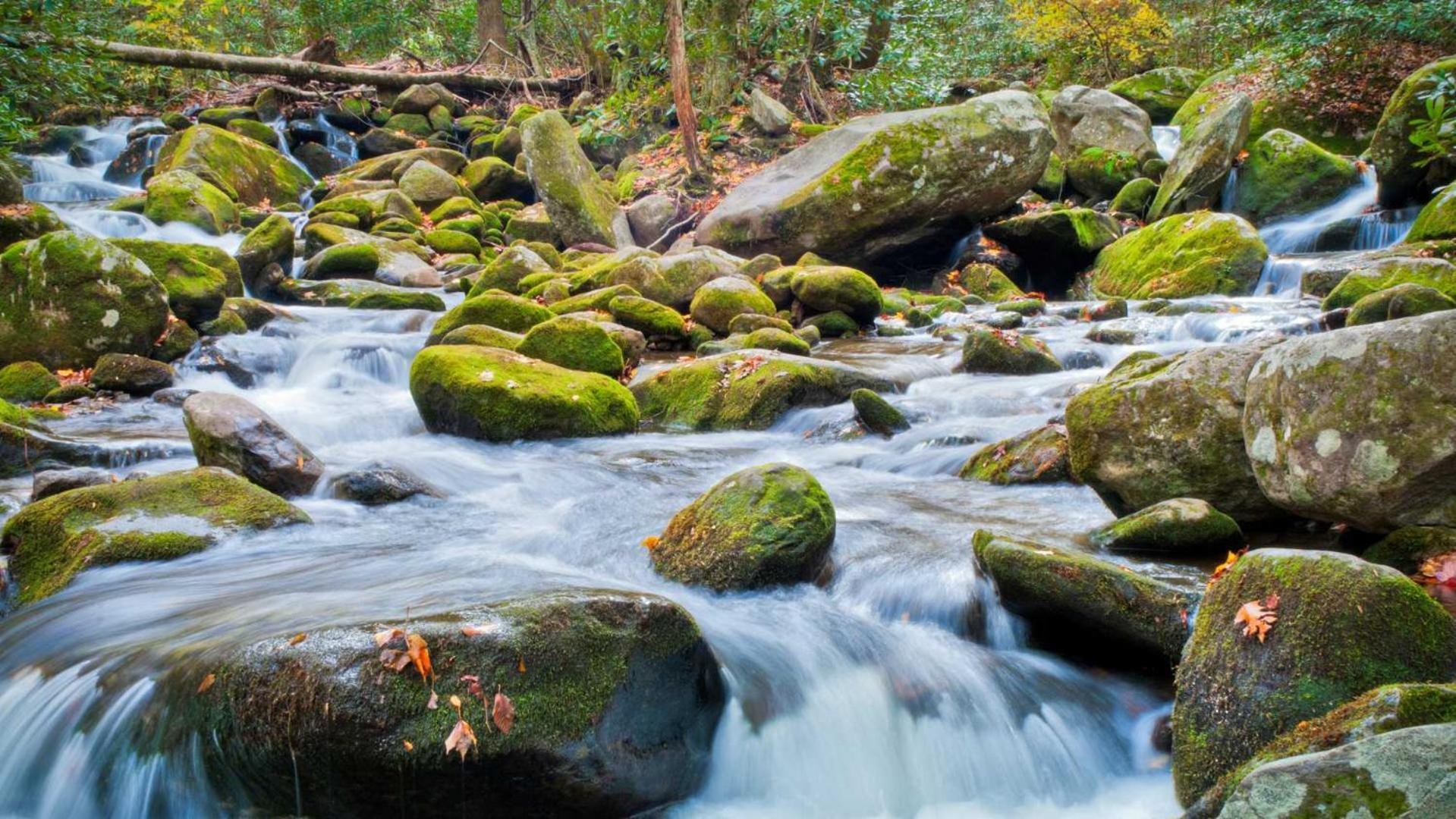 Little Smoky Retreat , 3 Bedroom , Close To Downtown Gatlinburg And Pigeon Forge ภายนอก รูปภาพ